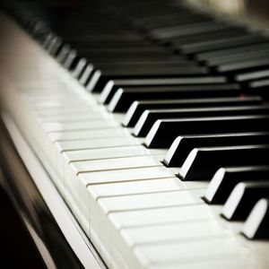 青年女人屄日进好舒服
