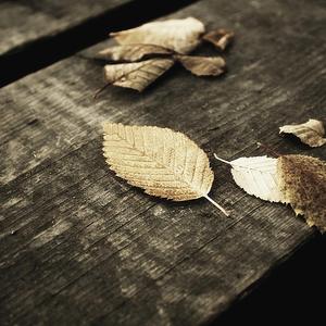 青年女人屄日进好舒服
