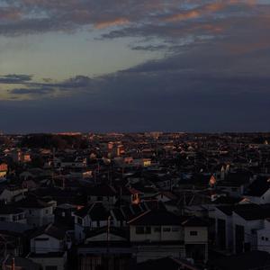 青年女人屄日进好舒服
